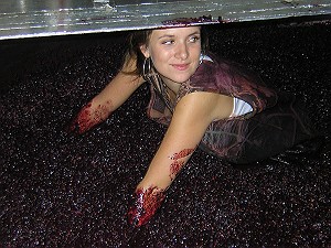 Hillary Murray