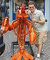 THE LOBSTER GUY