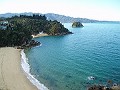 NEW ZEALAND COLLECTIVE