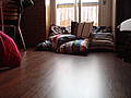 Couch picture