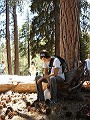 Paul Herman