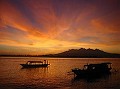 Thu-Tam Doan