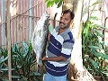 Frazer Pires