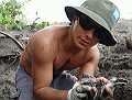 SEATURTLES