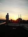 TIMY