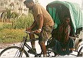 Kumsubh shailesh
