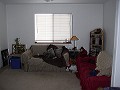 Couch picture