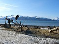 ALASKAWILL