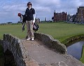 Shelley Connolly