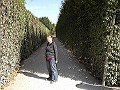 WALDMUME