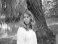 Sue Damgaard