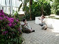 Kathy and Wim