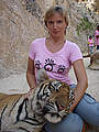 MOONYTIGER