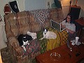 Couch picture
