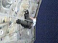 AE3NN