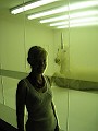Dianna Wilson
