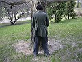 jugodelucuma