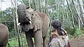 LILLISBOO