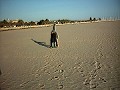 Tahera Solim